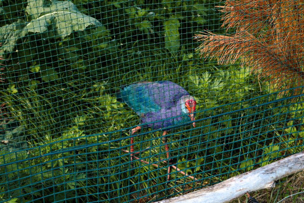 kadzidłowo - talkables-16