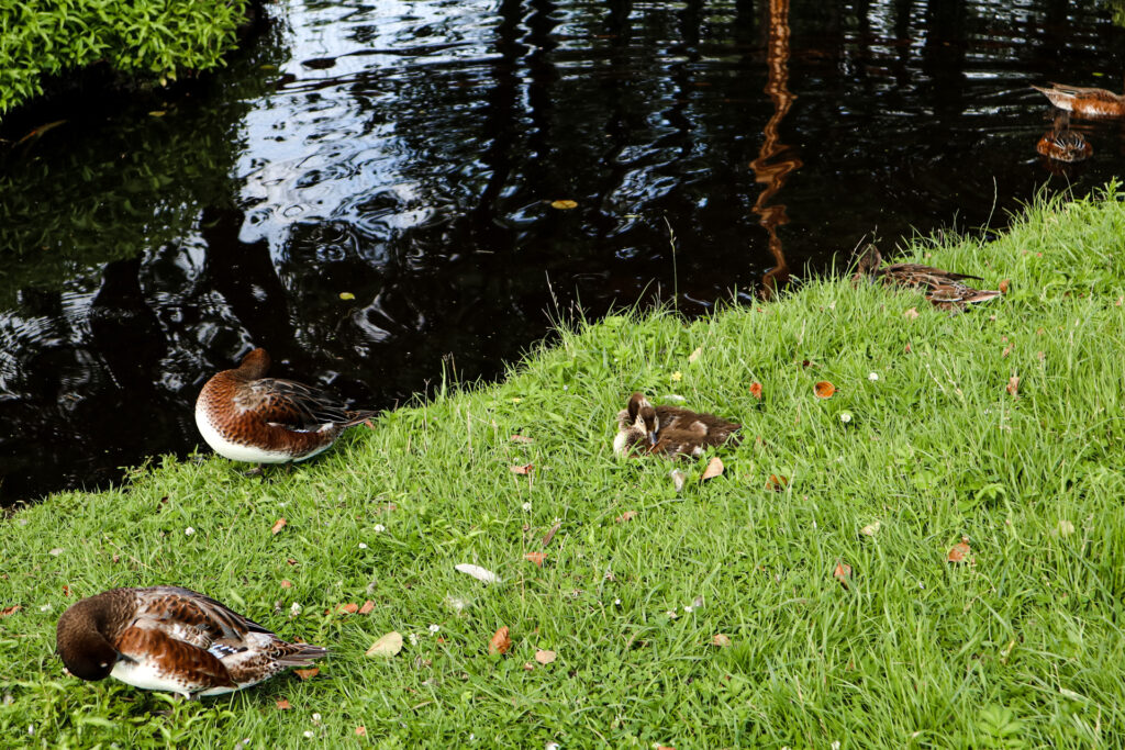 kadzidłowo - talkables-20