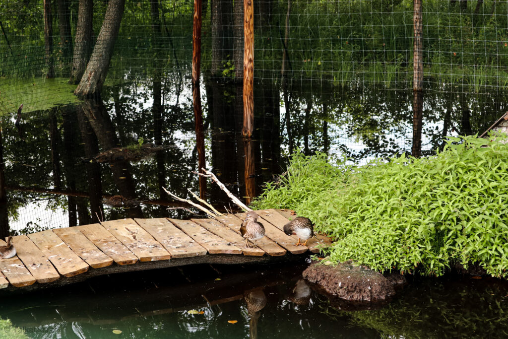 kadzidłowo - talkables-21