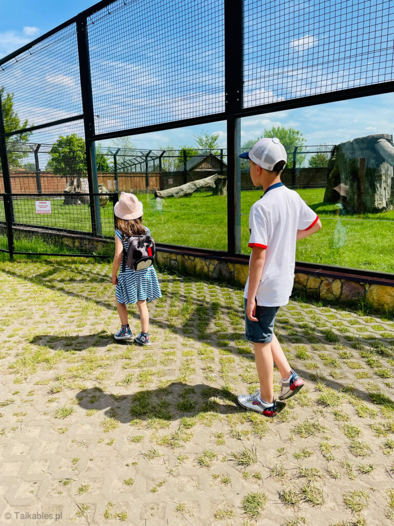 zoo safari w borysewie - talkables-03