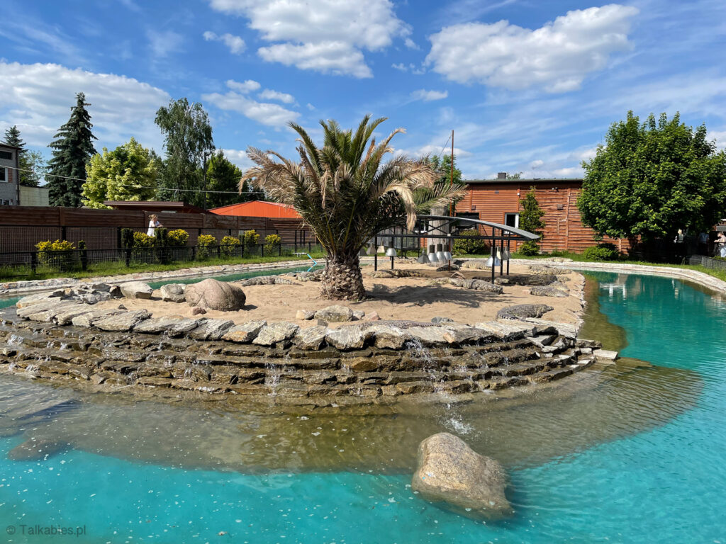 zoo safari w borysewie - talkables-17