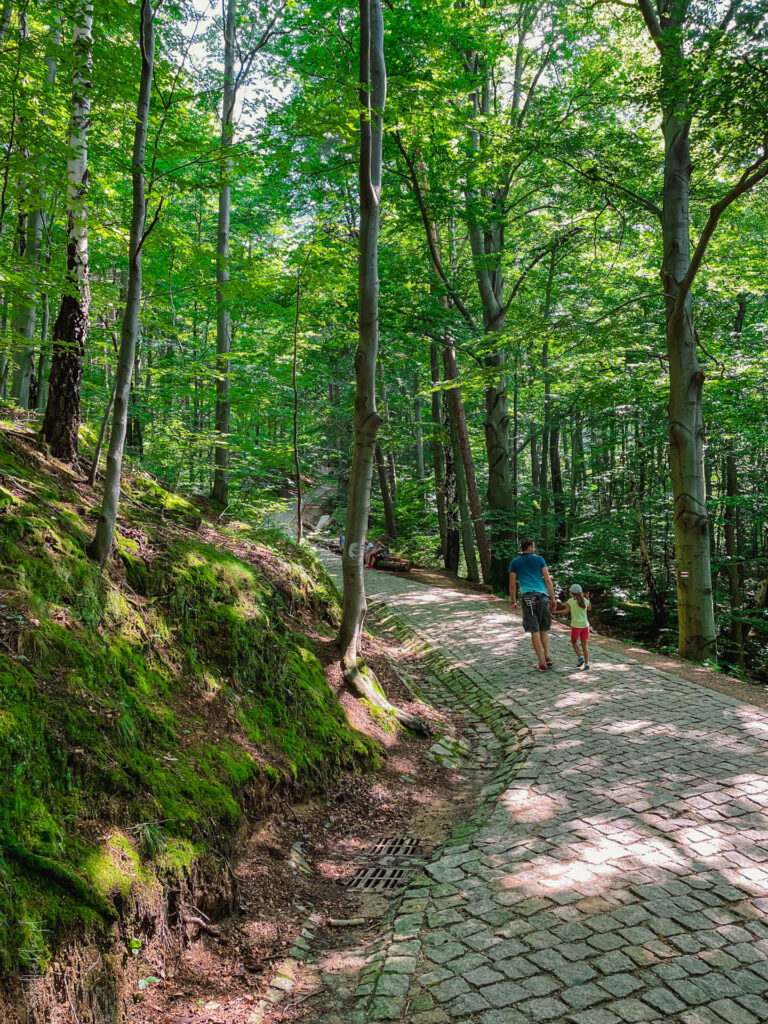 karkonosze - talkables-051