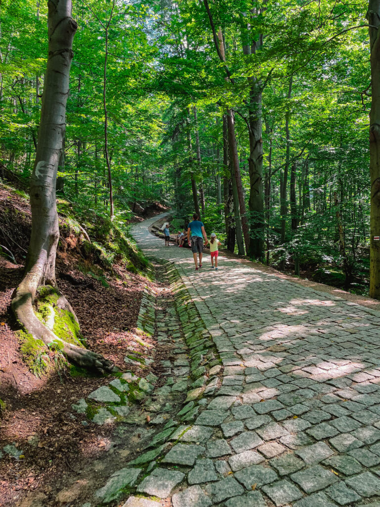 karkonosze - talkables-052