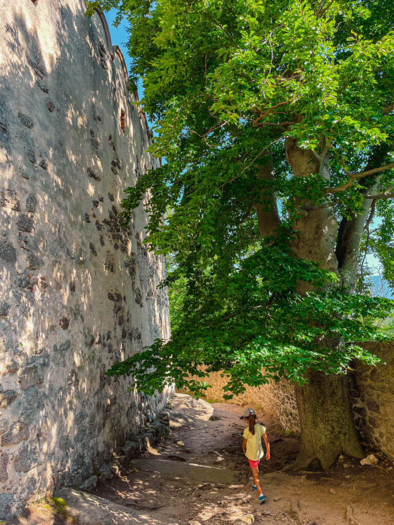 karkonosze - talkables-058