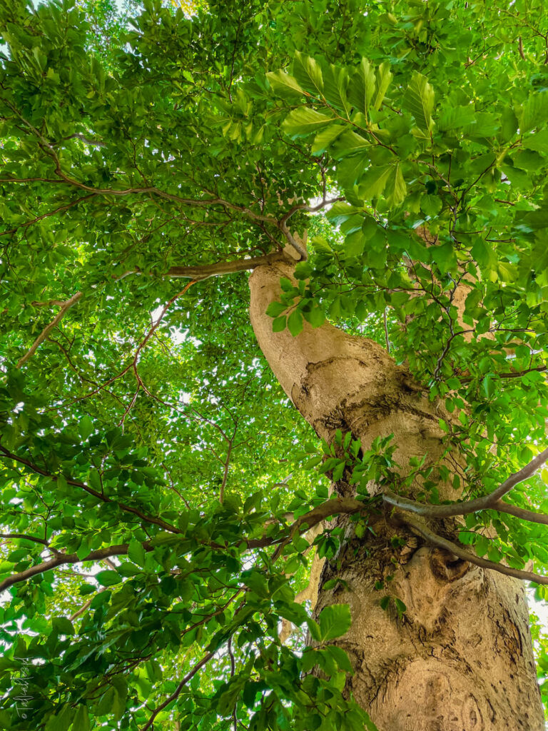 karkonosze - talkables-059