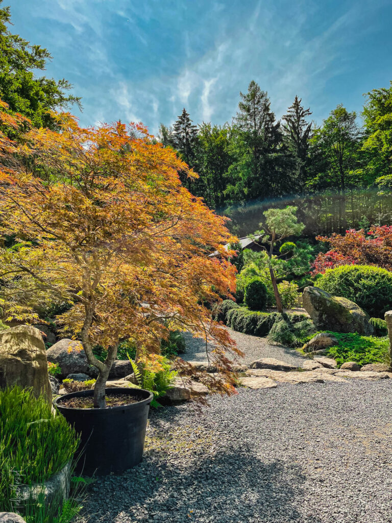 karkonosze - talkables-077