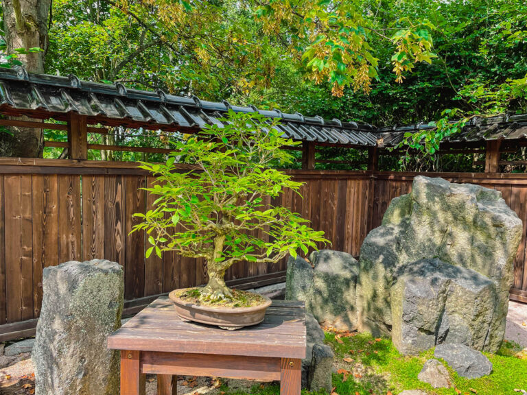 karkonosze - talkables-086