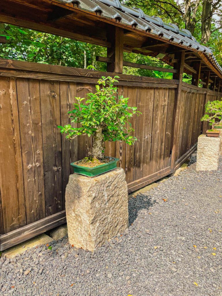 karkonosze - talkables-088