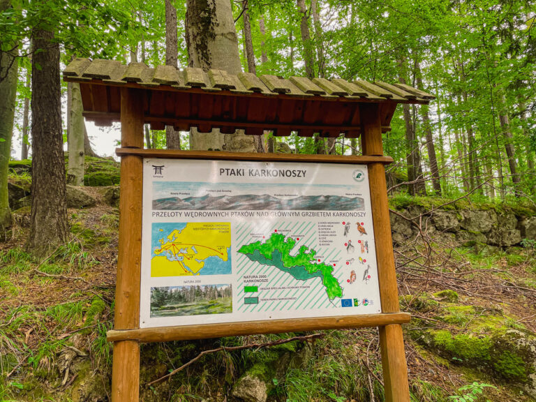 karkonosze - talkables-092