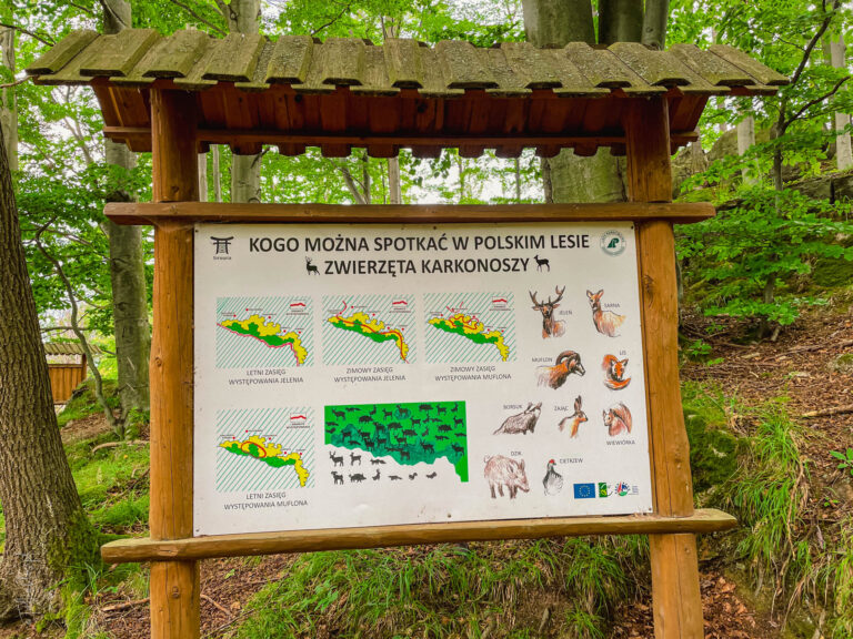 karkonosze - talkables-093