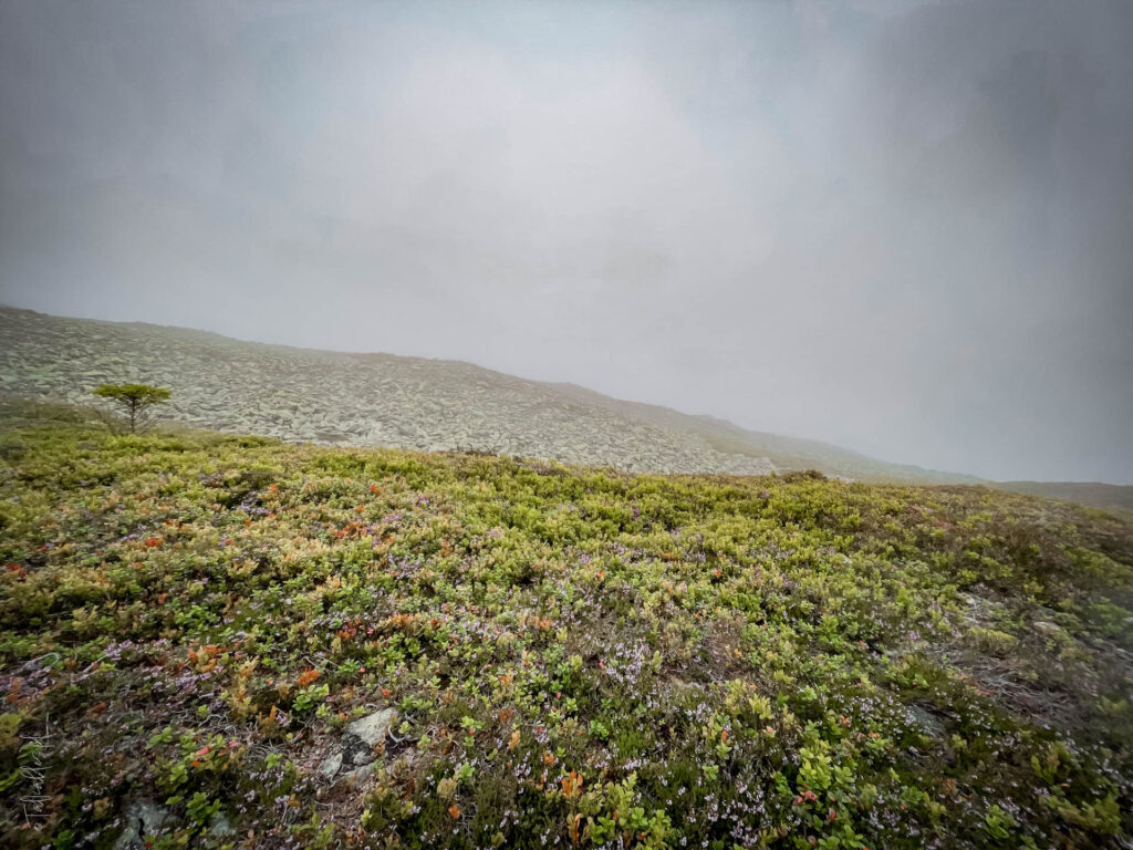 karkonosze - talkables-133