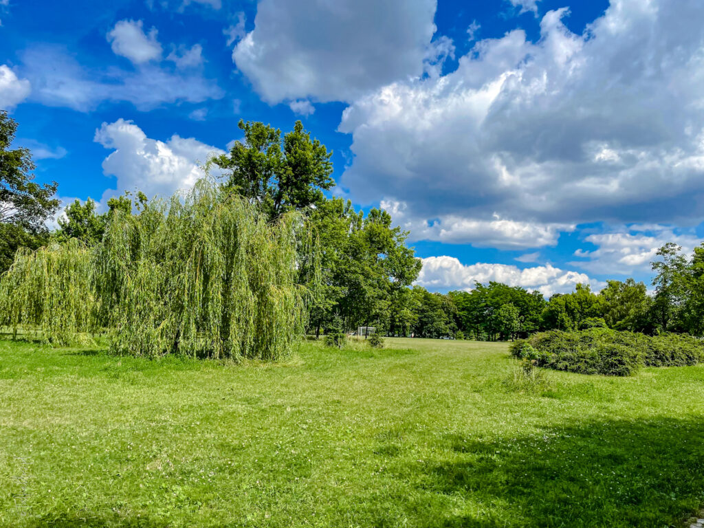 plac zabaw górczewska - talkables-22